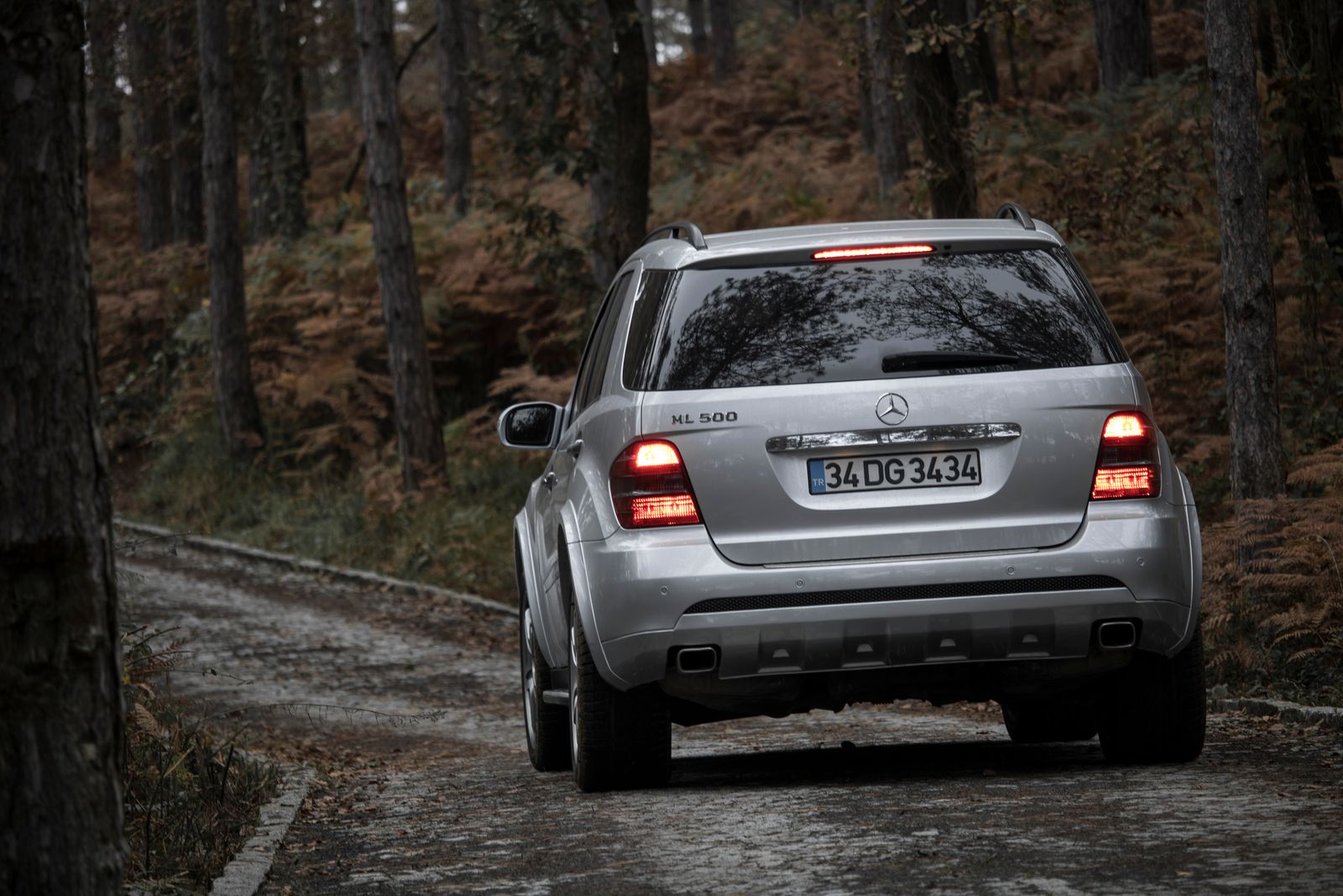 Rear 3/4
